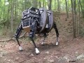 Robot parzystokopytny