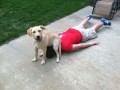 fatality