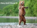 I am sexy and I know it