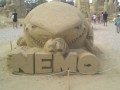 gdzie jest nemo
