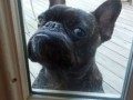 Samuel L Jackson