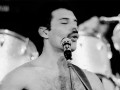 Freddie 