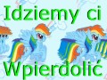 Kuce idą ci wpierdolić