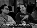 Sheldon 