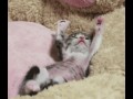 Cute   