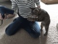 Kotek !!