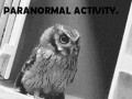 Paranormal activity