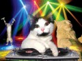 Party hard  