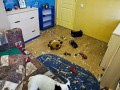 Zostaw opiekę nad psem sąsiadowi