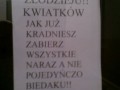 Porada dla złodzieja kwiatków