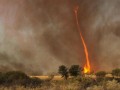 Tornado