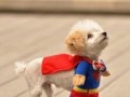 Psi SuperMan