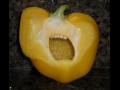 Aaaaaaa!!