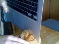 Nowa funkcjonalność MacBook Air