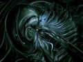 Tapeta - Gładka skrzydlata forma