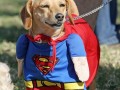 Kiedy dorosnę będę jak Superman...