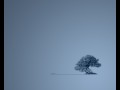 Tapety na Pulpit - Drzewko