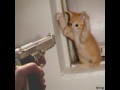 O nie
