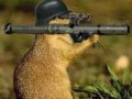 Susełek soldier