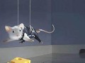 Mission impossible