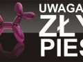 Zły pies