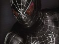 Spiderman black