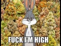 Fuck im high
