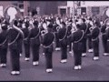 Bo tak