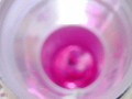 Hamster