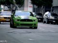 Nowy mustang 