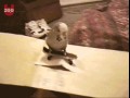 Papuga