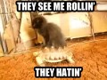 Rollin