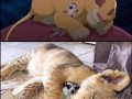 Cute