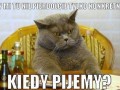 Melanż