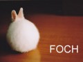Foch