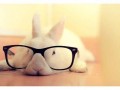 Hipster 