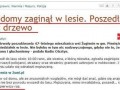 Niewidomy w lesie