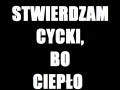Cycki