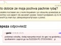 Pytanie