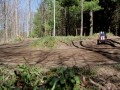 Ford Escort mk1 w skali 1 do 5