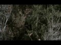 Enter Nowhere (2011)
