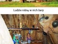 Baobab