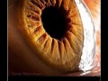 Eyes