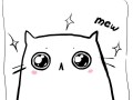 Koty 