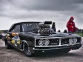 Muscle