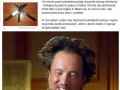 Fanatyk diablo 3