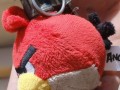 Angry birdowy granat