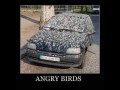 Angry birds true story