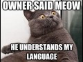 Miau