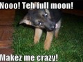 Full moon